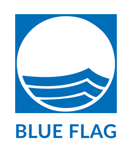 Logo Blue Flag
